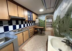 Blk 244 Hougang Heights (Hougang), HDB 4 Rooms #571116271